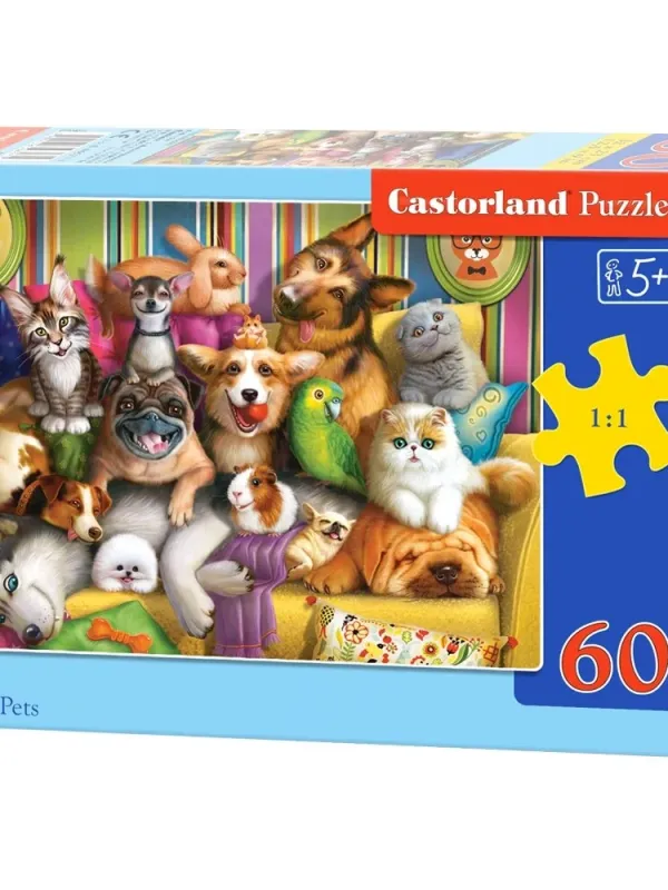 Produktas Castorland dėlionės Playful Pets 60 det. Paveikslėlis
