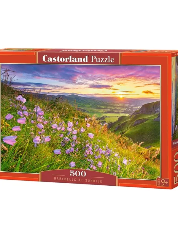 Produktas Castorland dėlionė Harebells at Sunrise 500 det. Paveikslėlis