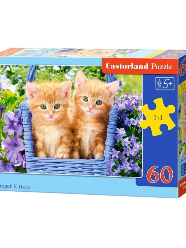 Produktas Castorland dėlionė GINGER KITTENS 60 det. Paveikslėlis